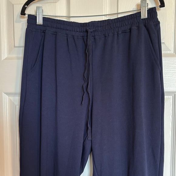 LulaRoe women’s blue high rise jogger lounge pants size large - Picture 1 of 9